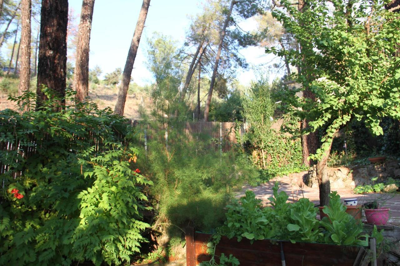 Villa La casita Del Río. Navalespino Exterior foto
